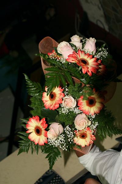 DPP_0033.JPG